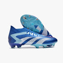 ADIDAS PREDATOR ACCURACY.1 FG