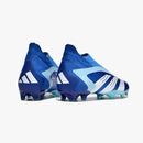 ADIDAS PREDATOR ACCURACY + FG