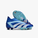 ADIDAS PREDATOR ACCURACY + FG